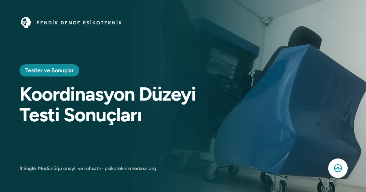 Psikoteknik koordinasyon düzeyi testi sonuçlarının değerlendirilmesi
