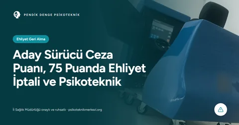 Aday Sürücü Ceza Puanı, 75 Puan Aşılınca Ehliyet İptali ve Psikoteknik