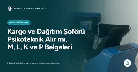 Kargo ve Dağıtım Şoförü Psikoteknik Alır mı, M, L, K ve P Belgeleri