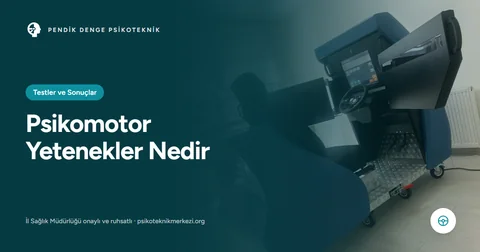 Psikomotor Yetenekler Nedir